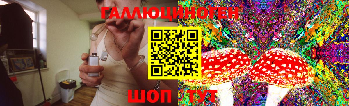 Полысаево  Псилоцибиновые грибы Psilocybine cubensis  Вход с VPN  Галлюциногенные грибы MAGIC MUSHROOMS 