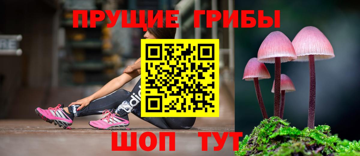 Галлюциногенные грибы мицелий Полысаево