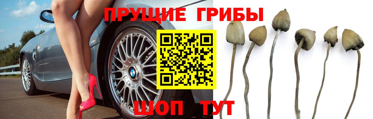 МЕТАДОН  АМФ   МЕТ  Вход с VPN  Наркошоп  Полысаево  ГАШ  Cocaine  Каннабис  Гашиш  МЕФ  